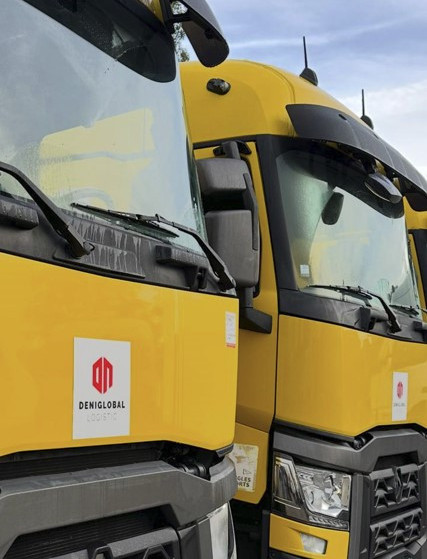 DENI GLOBAL LOGISTICA